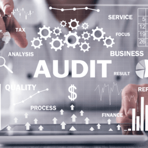Gestion des risques et audits